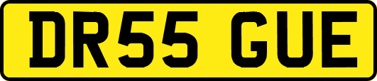 DR55GUE