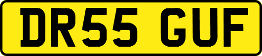DR55GUF