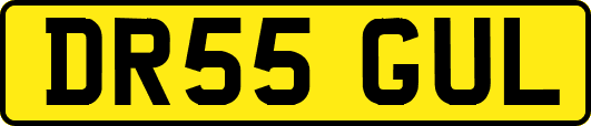 DR55GUL