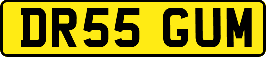 DR55GUM