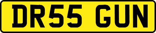 DR55GUN