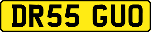 DR55GUO