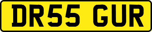 DR55GUR