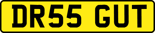 DR55GUT