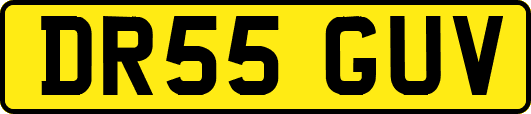 DR55GUV