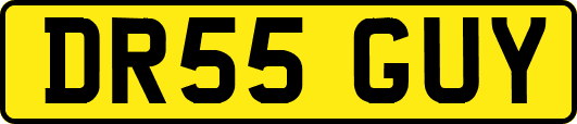 DR55GUY