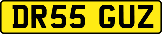 DR55GUZ