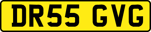 DR55GVG