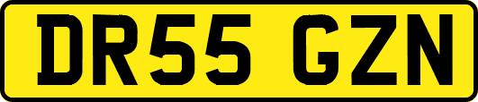 DR55GZN
