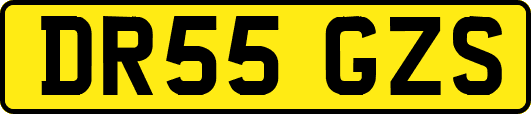 DR55GZS