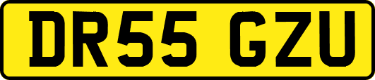 DR55GZU