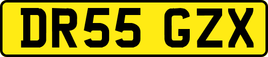 DR55GZX