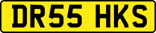 DR55HKS