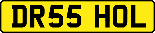DR55HOL
