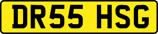 DR55HSG