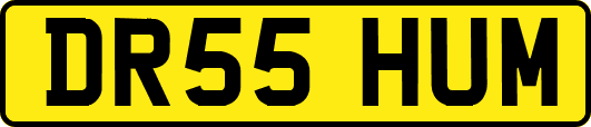 DR55HUM