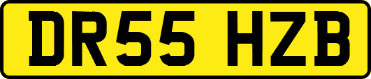 DR55HZB