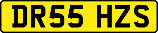 DR55HZS