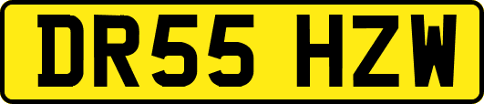 DR55HZW