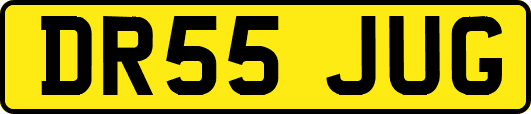 DR55JUG