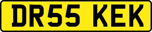 DR55KEK