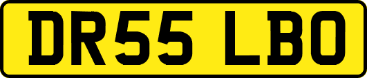 DR55LBO