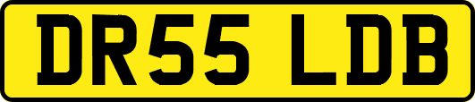DR55LDB