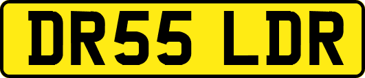 DR55LDR