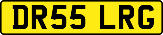 DR55LRG