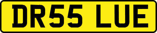 DR55LUE