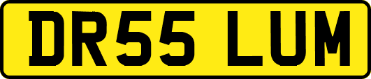 DR55LUM