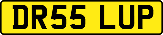 DR55LUP