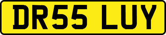 DR55LUY