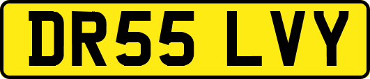 DR55LVY