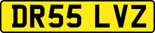 DR55LVZ