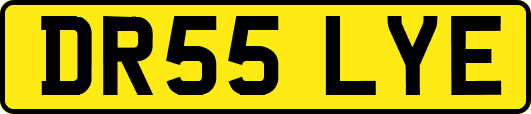 DR55LYE