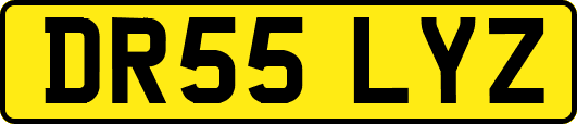 DR55LYZ