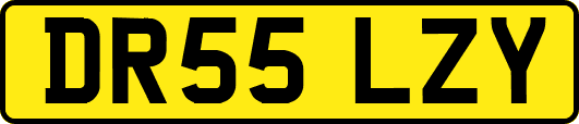 DR55LZY