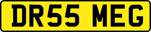 DR55MEG