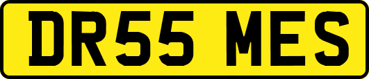 DR55MES