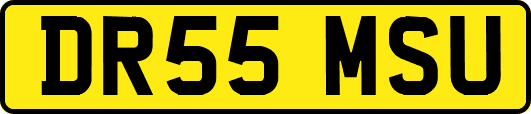 DR55MSU