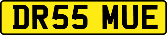 DR55MUE