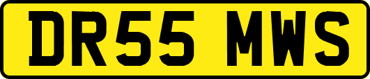 DR55MWS