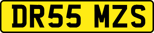 DR55MZS