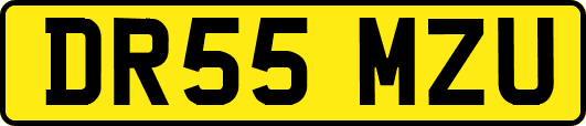 DR55MZU