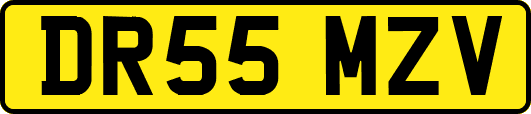 DR55MZV