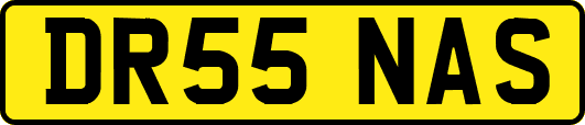 DR55NAS