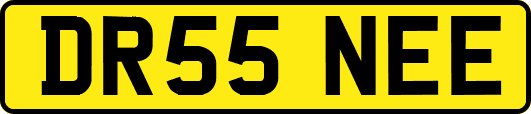 DR55NEE