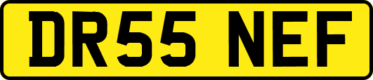DR55NEF