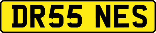 DR55NES